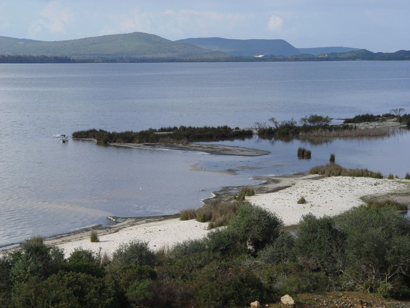 Parc National d'El Kala